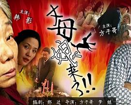 如何找到窈窕淑女免费观看完整版？这几点你必须知道